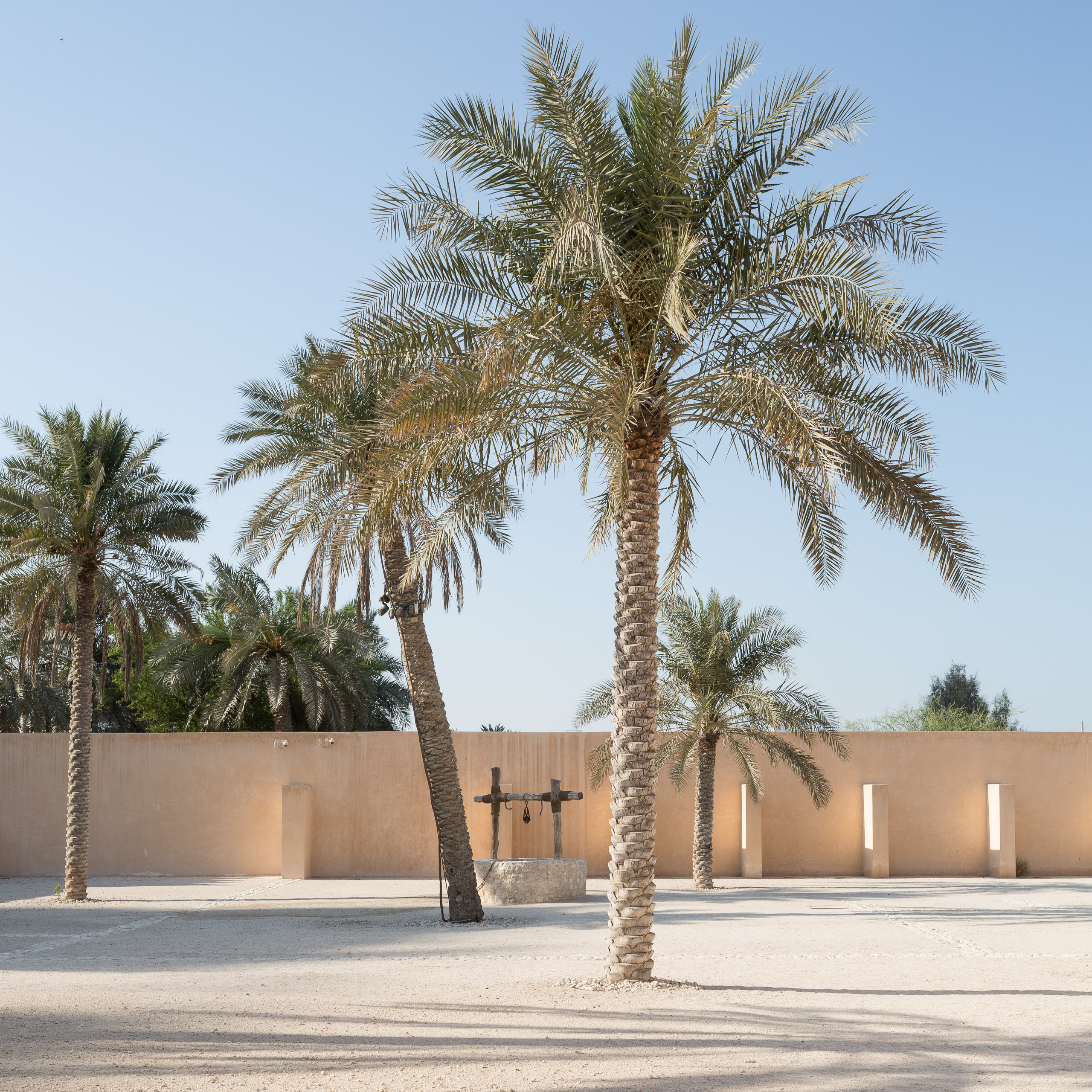 Al-Thani Palace courtyard, palms and well